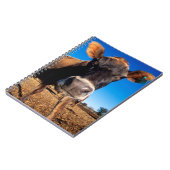 Carnet Une vache Jersey curieuse (Côté gauche)
