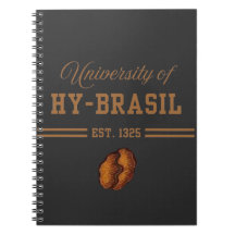 Université de Hy-Brasil, Ét. 1325