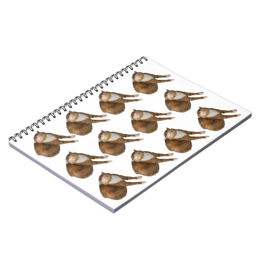 Carnet Upside-Down Sunshine Cat (Côté gauche)