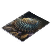 Carnet Urchine de Deep Sea (Côté gauche)