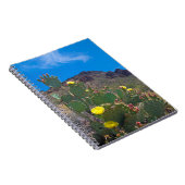 Carnet USA, Arizona. Cactus Dans Les Collines (Côté Droit)