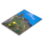 Carnet USA, Arizona. Cactus Dans Les Collines (Côté gauche)