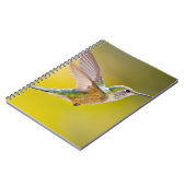 Carnet USA, Colorado, Summit County, Heeney. Vue de côté (Côté gauche)