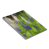 Carnet USA, Maine, Parc national de l'Acadia. Champ de (Côté Droit)