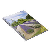 Carnet USA, WA, Sequim, Purple Haze Lavender Farm (Côté Droit)