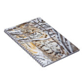 Carnet USA, Wyoming, Bobcat (Côté Droit)