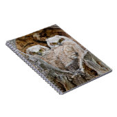 Carnet USA, Wyoming, Grand Teton National Park (Côté Droit)