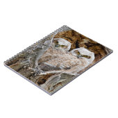 Carnet USA, Wyoming, Grand Teton National Park (Côté gauche)