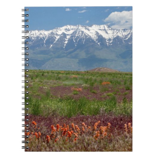 Carnet Utah, USA. Le Mont Timpanogos s'élève au-dessus (Devant)