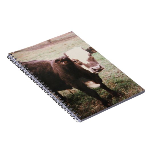 Carnet Vache à crème Brown (Côté Droit)