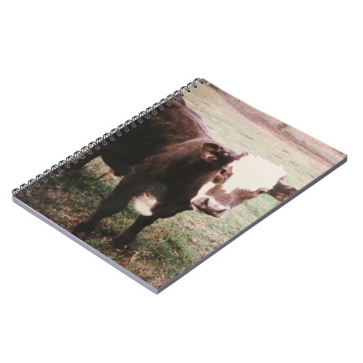 Carnet Vache à crème Brown (Côté gauche)