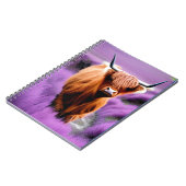 Carnet Vache belle Highland dans le champ Lavender (Côté gauche)