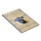 Carnet Vache de Highland (Côté Droit)