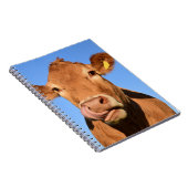 Carnet Vache du Jersey léchant son nez (Côté Droit)