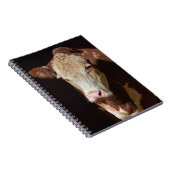 Carnet Vache grincheuse (Côté Droit)