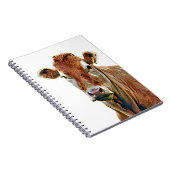 CARNET VACHE MIGNONNE (Côté Droit)