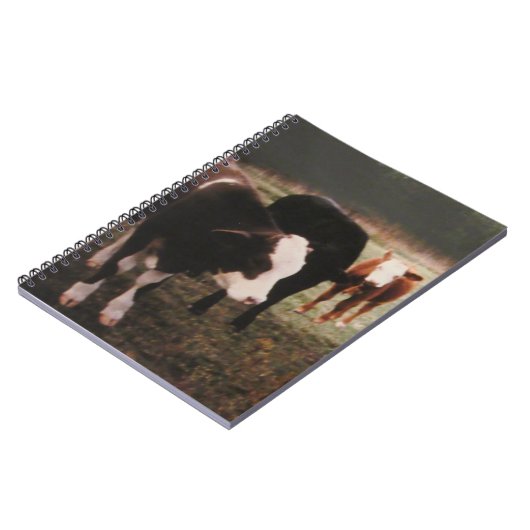 Carnet Vaches à crème Brown (Côté gauche)