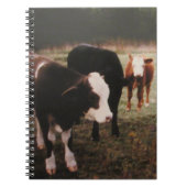 Carnet Vaches à crème Brown (Devant)