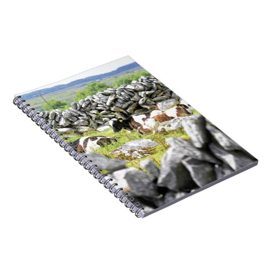 Carnet Vaches Moo (Côté Droit)