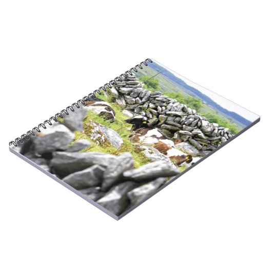 Carnet Vaches Moo (Côté gauche)