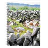 Carnet Vaches Moo (Devant)