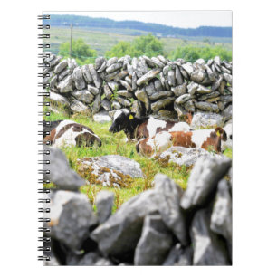 Carnet Vaches qui mugissent