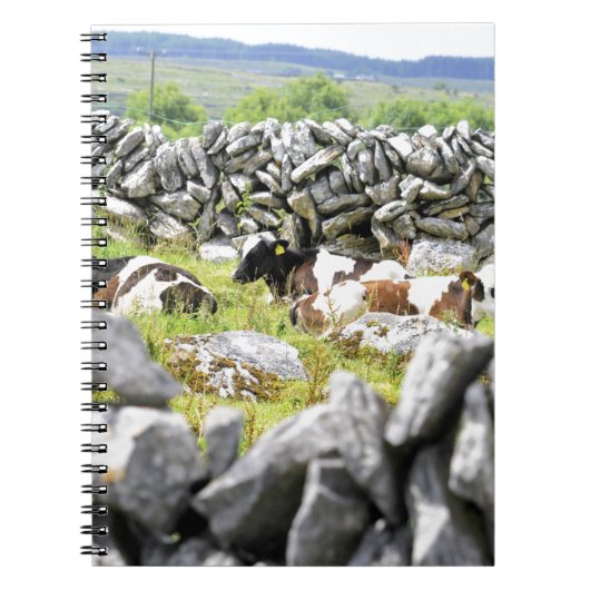 Carnet Vaches qui mugissent (Devant)