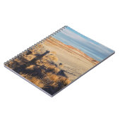 Carnet Vague du désert : Parc national de la Forêt Petrif (Côté gauche)