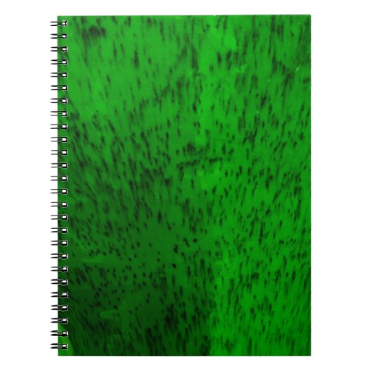 Carnet Vaisselle en terre cuite vert citron (Devant)