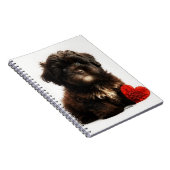 Carnet Valentine la plus fine, Chiot Havanais au chocolat (Côté Droit)