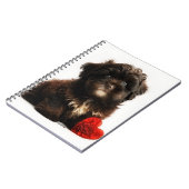 Carnet Valentine la plus fine, Chiot Havanais au chocolat (Côté gauche)