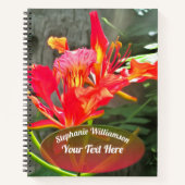 Carnet Vallarta Flaming Beauty 1583 (Devant)