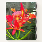 Carnet Vallarta Flaming Beauty 1583 (Dos)