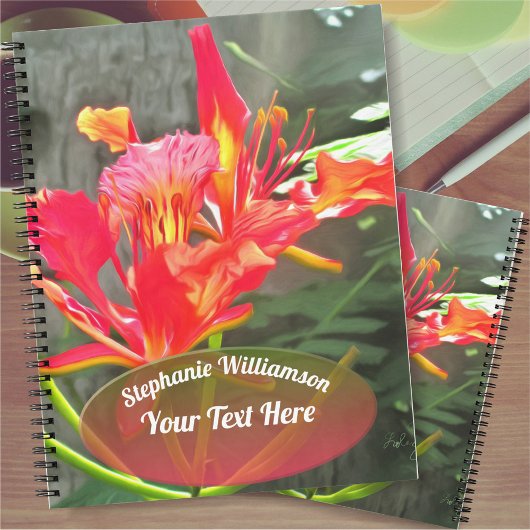 Carnet Vallarta Flaming Beauty 1583