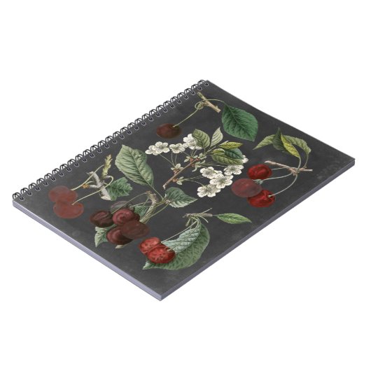 Carnet Variétés de verger I (Côté gauche)