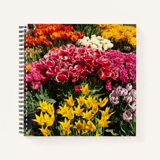 Carnet Variety of Tulips (Devant)