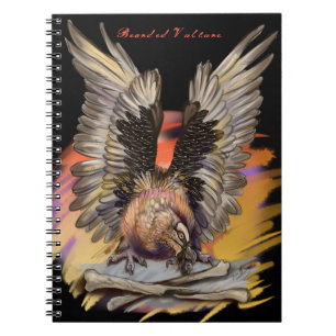 Carnet Vautour