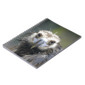 Carnet Vautour moine (Côté gauche)