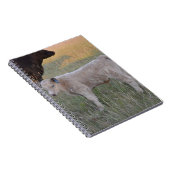 Carnet Veau du charolais (Côté Droit)