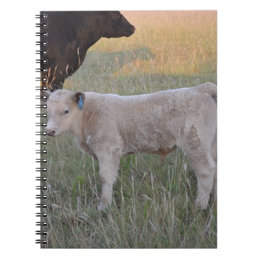 Carnet Veau du charolais (Devant)