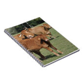 Carnet Veau et vaches du Limousin (Côté Droit)