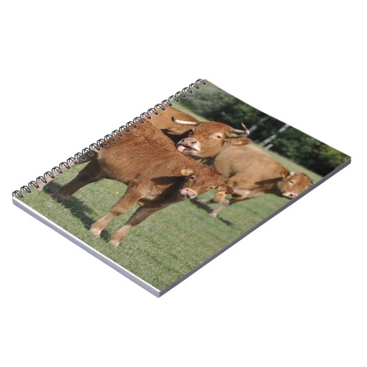 Carnet Veau et vaches du Limousin (Côté gauche)