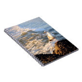 Carnet Venice Beach Seagull (Côté Droit)