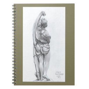 Carnet Vénus Callipyge
