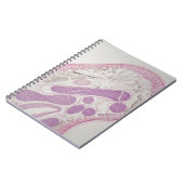 Carnet Ver parasite de nématode (espèces d'ascaride) (Côté gauche)