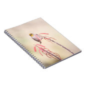 Carnet verdin perché sur le pénis (Côté Droit)
