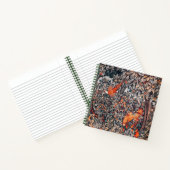 Carnet VERDURE, ANIMAUX FORESTIERS Pheasant, Renard rouge (Intérieur)