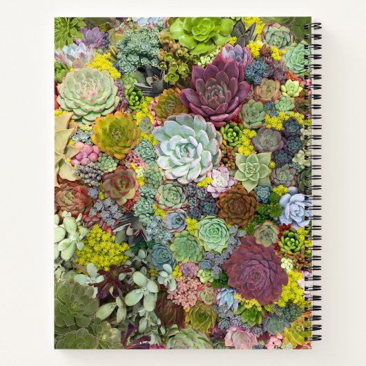 Carnet Verdure colorée Succulents (Dos)