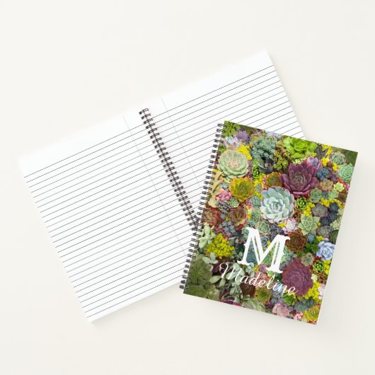 Carnet Verdure colorée Succulents (Intérieur)