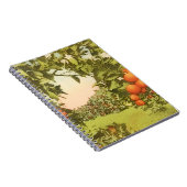 Carnet Verger d'orangers vintage (Côté Droit)